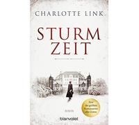 Sturmzeit: Roman