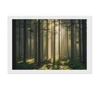 STVNKML Kit de peinture diamant 5D à la lumière blanche forêt pour adultes - 20,3 x 30,5 cm - Kit d'art diamant à faire soi-même pour débutants - Décoration d'intérieur créative - Cadeau artisanal