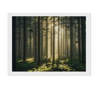 STVNKML Kit de peinture diamant 5D à la lumière blanche forêt pour adultes - 30,5 x 40,6 cm - Kit d'art diamant à faire soi-même pour débutants - Décoration d'intérieur créative - Cadeau artisanal