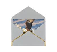 STVYUKL Carte de vœux avec enveloppes gris clair, carte « Thinking of You » - Avion au coucher du soleil - Invitation de mariage - Cartes vierges pour toutes les occasions 10 x 15 cm