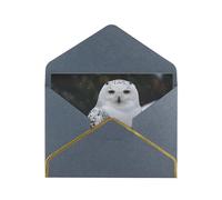 STVYUKL Carte de vœux avec enveloppes noires, carte « Thinking of You » - Chouette des neiges - Joyeux anniversaire mariage invitation vierge pour toutes les occasions 10 x 15 cm
