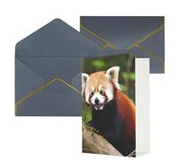 STVYUKL Carte de vœux avec enveloppes noires, carte « Thinking of You » - Petit panda rouge - Invitation de mariage - Cartes vierges pour toutes les occasions 10 x 15 cm