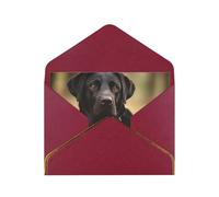 STVYUKL Carte de vœux avec enveloppes rouge foncé, carte « Thinking of You », adorable chien labrador, invitation de mariage, cartes vierges pour toutes les occasions 10,2 x 15,2 cm