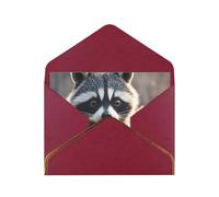 STVYUKL Carte de vœux avec enveloppes rouge foncé, carte « Thinking of You », mignon raton laveur, carte d'invitation de mariage, cartes vierges pour toutes les occasions 10,2 x 15,2 cm