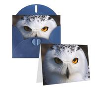 STVYUKL Carte de vœux vierge avec enveloppes - 10,2 x 15,2 cm - Bleu - Pour toutes les occasions - Pour Noël, vacances, anniversaire, remise de diplôme