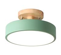 Styeleganc Plafonniers Moderne LED Luminaire Nordique en Bois Luminaire IntéRieur Cuisine Salon Chambre Salle de -Vert