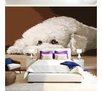 Style Aquarelle Papier Peint 300 x 210 cm Caniche animal Papier Peint Panoramique Tapisserie Photo Poster Intissé Mur Moderne Décor Murale Salon Chambre á Coucherr Bureau