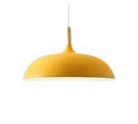 Style Light for Dining Room and Kitchen Island Chandeliers Creative Shape Hanging Lights Matte Metal Pendant Lamp in Adju