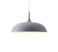 Style Light for Dining Room and Kitchen Island Chandeliers Creative Shape Hanging Lights Matte Metal Pendant Lamp in Adju