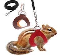 Stylebest Ensemble de 2 Harnais, Gilet et Laisse pour Petits Animaux de Compagnie, Accessoires de Marche en Plein Air, Parfaits pour Les Chatons et Les Petits Animaux, en Cuir Naturel Sûr