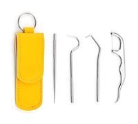 Stylebest Lot de 4 Porte-Cure-Dents Portables en Acier Inoxydable pour enlever Le tartre et Nettoyer Les Dents avec Une Pince à épiler et Un détartreur pour Pique-Nique, Camping