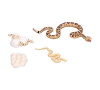 Stylebest Modèle de Cycle de Croissance du Serpent à Sonnettes, Jouet éducatif pour Enfants pour Améliorer Les Compétences Cognitives et Comprendre la Nature, Matière Plastique Sûre