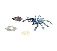 Stylebest Modèle éducatif de Cycle de Vie D'araignée pour Enfants, Jouet Unique de Simulation de Croissance D'insectes, adapté aux Enfants de 3 Ans et Plus, Plastique 4 Pièces