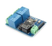 Stylebest Module de Relais WiFi à 2 Voies, Commutateur de Télécommande sans Fil Durable pour la Domotique 12V