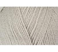 Stylecraft 9041805 Fil spécial DK Gris chaud (1805) - 100 g