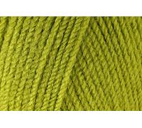 Stylecraft Special DK - Fil à crochet doux, 100% laine pour tricot double pour pulls, jouets, couvertures, housses de coussin, pelotes de 100 g, pomme (1852), individuel (1 pelote)