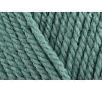 Stylecraft Special pelote de fil à crochet épais, 100 % laine acrylique pour couvertures, housses de coussin, jouets, pulls - pelotes de 100 g - Sauge (1725) - Pack de 5, OBTENEZ 3 pelotes GRATUITES =