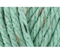 Stylecraft Special XL Lot de 5 pelotes de fil à crochet super épais en viscose acrylique pour accessoires de vêtements - Pelotes de 100 g - Sauge (1725)