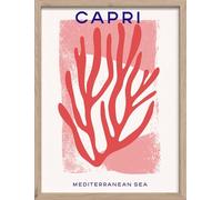 STYLER Tableau avec cadre Capri Coral 30 x 40 cm - Décoration murale corail méditerranéen rose et rouge - Affiche graphique estivale sous cadre en bois naturel marin moderne