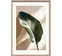 STYLER Tableau Strelitzia Feuille 50 x 70 cm avec cadre en bois - Motif feuille tropicale - Tableau mural Japondi Boho Vert Beige