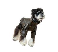 Styles de Motards à la Mode Manteau pour Chien durabilité Vestes en Cuir pour Animaux de Compagnie en Polyester Costume pour Animaux de Compagnie pour Tenue décontractée et Voyage Vestes pour Chiots