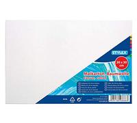 Stylex, 20 x 30 cm, carton de 3 mm d'épaisseur avec tissu 100% coton, apprêt blanc pour huile, acrylique et tempéra, peinture à la gouache et technique de découpage