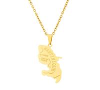 Stylish-Art Martinique Carte Pendentif Colliers - Motif Ethnique Drapeau Région Martinique Cartes Clavicule Chaîne Colliers Charme Hip Hop Bijoux Tendance pour Femmes Hommes Pull,Or,50 cm