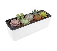 Stylish Plant Pot, Decorative Flowerpot Container, 8x6 Inches Hydroponic Planter with Drainage, Authentic Ceramic Pot, Indoor Planter with Modern Design, Flower Pots for Living Room Windowsill Usage