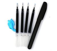 Stylo à bille qui disparaît avec le temps Stylo à bille drôle qui disparaît dans la nature Encre bleue Perte automatique d'erreurs de rouille Stylo à bille magique économique