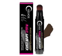 Stylo De Teinture De Cheveux Temporaire, 20 Ml Stylo De Couleur De Cheveux Blancs Instantanée, Stylo Temporaire Pour Teinture Des Cheveux, Correcteur De Racines Et Couverture Des Cheveux Gris