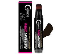 Stylo De Teinture De Cheveux Temporaire, 20 Ml Stylo De Couleur De Cheveux Blancs Instantanée, Stylo Temporaire Pour Teinture Des Cheveux, Correcteur De Racines Et Couverture Des Cheveux Gris