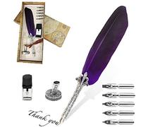 Stylo Dip à Plume, Plume d'oie à Encre, Set de Calligraphie Vintage avec avec 5 Plumes de Rechange, Encre, Porte-stylo (violet)