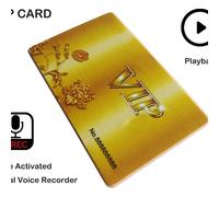 Stylo enregistreur vocal numérique portable pour conférence statique",audio activé,"recharge USB - Type Or-8 GO