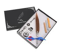 Stylo plume calligraphie, 5 pointes interchangeables, plume vintage - écriture fluide et précise, design antique élégant, idéal pour amateurs et artistes passionnés (Tapez 2)