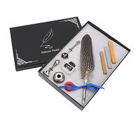 Stylo plume calligraphie, 5 pointes interchangeables, plume vintage - écriture fluide et précise, design antique élégant, idéal pour amateurs et artistes passionnés (Style 3)