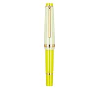 Stylo plume court en résine pour écriture manuscrite, stylo plume de poche avec convertisseur d'encre torsadée, pointe fine 0,5 mm, prise de notes