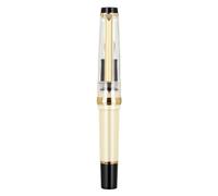 Stylo plume court en résine pour écriture manuscrite, stylo plume de poche avec convertisseur d'encre torsadée, pointe fine 0,5 mm, prise de notes