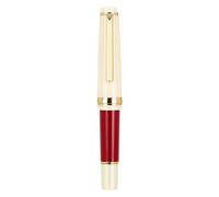 Stylo plume court en résine pour écriture manuscrite, stylo plume de poche avec convertisseur d'encre torsadée, pointe fine 0,5 mm, prise de notes