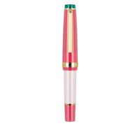 Stylo plume court en résine pour écriture manuscrite, stylo plume de poche avec convertisseur d'encre torsadée, pointe fine 0,5 mm, prise de notes