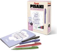 Stylos de calligraphie avec cours de calligraphie rose/bleu/violet/jaune foncé PSVY