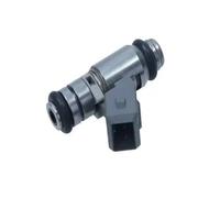 STZPO Injecteur de carburant IWP176 Compatible avec les injecteurs de carburant automobiles de remplacement for VW 1.2L 1997-2000(1Pair)