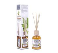 SUAREZ NANI SWEET HOME Collection Parfum environnement sandal 100 ml