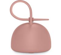 Suavinex, attache-tétine pour bébés, flexible, étui en silicone, pour porter 2 tétines, avec poignée pour l'accrocher, +0 mois, Colour Essence, Nude