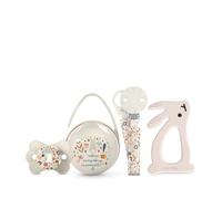 Suavinex, Cadeau Naissance, Coffret Cadeau Bébé avec : Sucette avecTétine Symétrique SX Pro 0-6 Mois + Attache Sucette + Boîte à Sucettes + Anneau de Dentition en Silicone. (4 Pcs). Wonderland, Beige