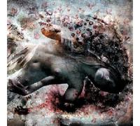 Subarachnoid Space - Eight Bells [Import]