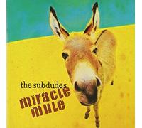Subdudes - Miracle Mule