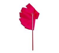 SUBLXPoten Rubans de Danse Rubans de Gymnastique colorés 2M/4M, Ruban de Danse, Art Rythmique, Banderole de Ballet, Tige tournante for l'entraînement en Gymnastique(Rose Red,2M)