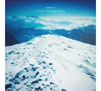Submotile – One Final Summit Before the Fall – Vinyle – Victrola