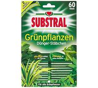 Substral Bâtons d'engrais pour Plantes Vertes Pack de 60