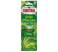 Substral Engrais en bâtons pour plantes vertes - 30 bâtons